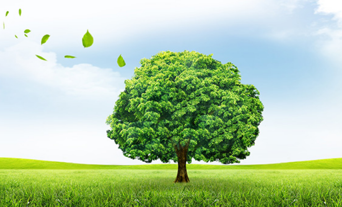 綠色環保：室內裝修污染問題與對策