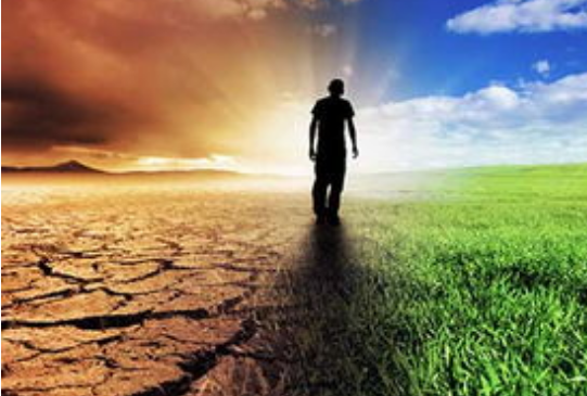 image.png 互聯網公裝崛起的主要因素