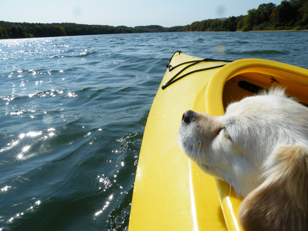 微信移動辦公：不當傳話筒，當解決問題小能手